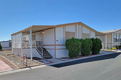 Flamingo West Mobile Home Park in Las Vegas, NV | MHVillage