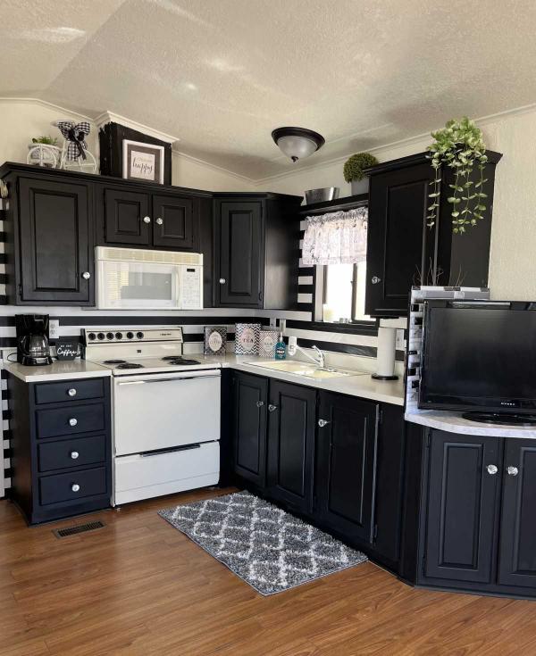 1991 Skyline Mobile Home For Rent