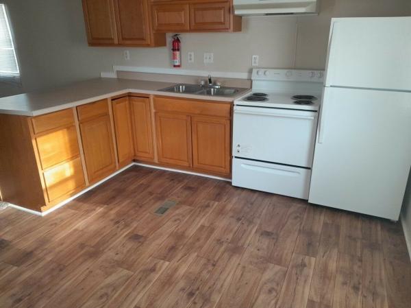 Skyline Mobile Home For Sale