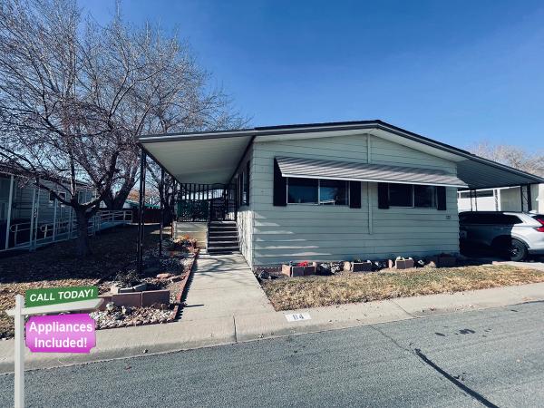 1979 Skyline Mobile Home For Sale