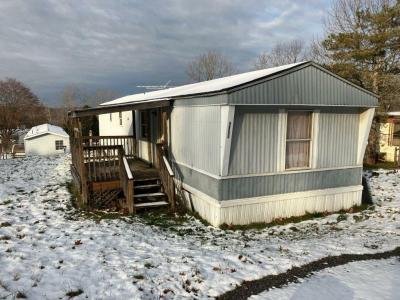 Mobile Home at 5650 Wormuth Lane Conesus, NY 14435