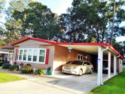 Photo 3 of 67 of home located at 6799 Easy Street Ocala, FL 34472