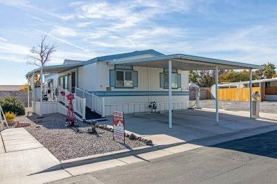 Mobile Home at 4525 W. Twain Ave. Las Vegas, NV 89103