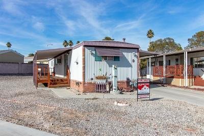 Mobile Home at 4525 W. Twain Ave. Las Vegas, NV 89103