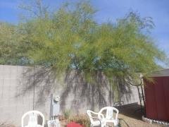 Photo 5 of 24 of home located at 2760 S Royal Palm Rd. Apache Junction, AZ 85119