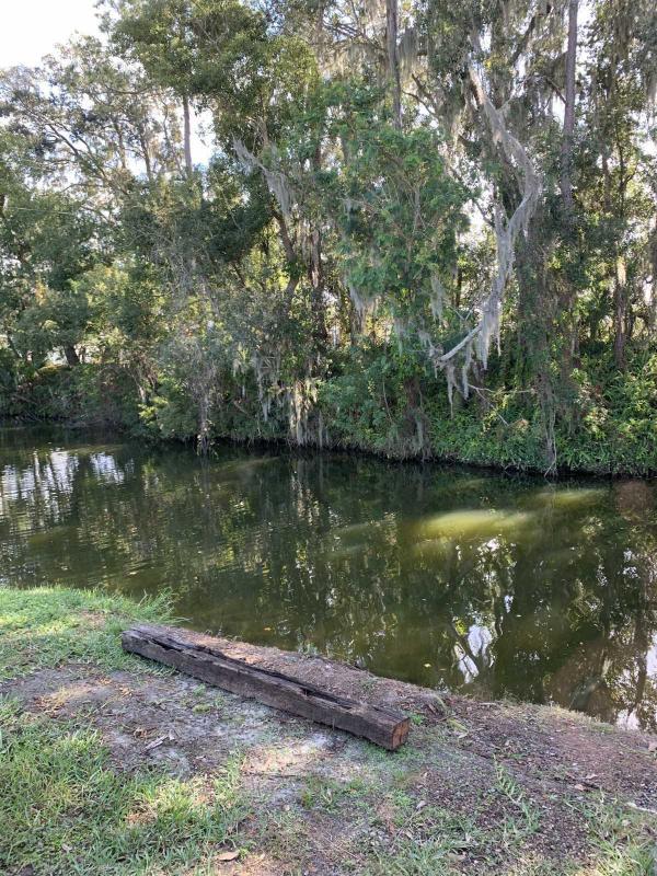 Senior Retirement Living 1985 SAND Mobile Home For Sale in Lakeland, FL