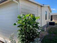 1986 Fleetwood Sandalwood Mobile Home