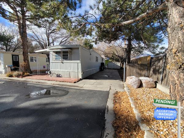 1968 Skyline Mobile Home For Sale