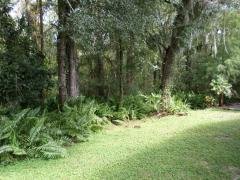 Photo 3 of 26 of home located at 355 Waldorf Dr Auburndale, FL 33823
