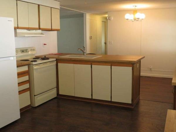 1980 Buddy Manufactured Home