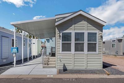 Mobile Home at 9252 E. Broadway Road #009 Mesa, AZ 85208