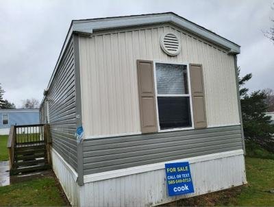 Mobile Home at 14 Holly Terrace Hornell, NY 14843