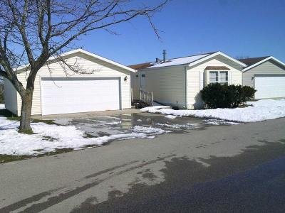 Mobile Home at 110 Kandy Drive Theresa, WI 53091