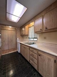 1970 Silve Mobile Home