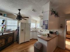 Photo 3 of 20 of home located at 676 Talapia Terrace Sorrento, FL 32776