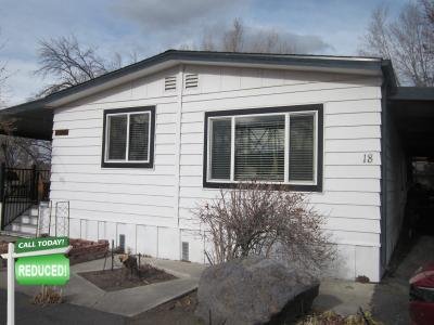 Mobile Home at 101 Lincoln Hwy #18 Wadsworth, NV 89442