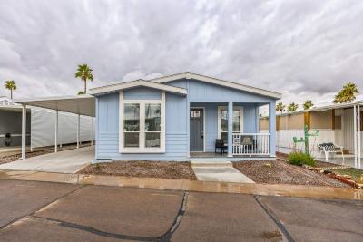 Mobile Home at 3300 E. Broadway Rd. #226 Mesa, AZ 85204