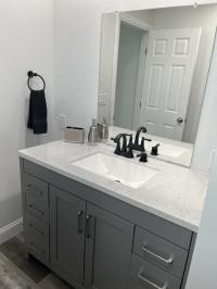 1969 Skyline  Mobile Home