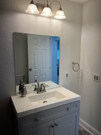 1969 Skyline  Mobile Home