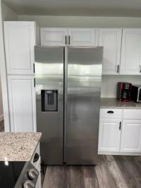 1969 Skyline  Mobile Home