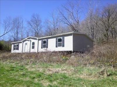 Mobile Home at 1048 State Route 784 South Shore, KY 41175