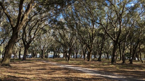 2023 Great Outdoor Cottages Lake View 3112 Mobile Home