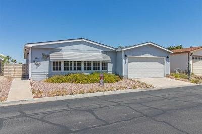 Mobile Home at 1710 William Ave. Henderson, NV 89074