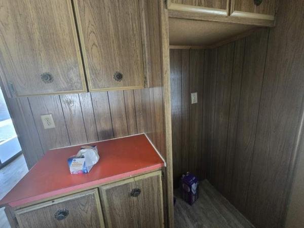 1971 Buddy Manufactured Home