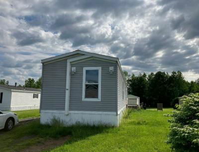 Mobile Home at 6008 Manley Drive Red Creek, NY 13143