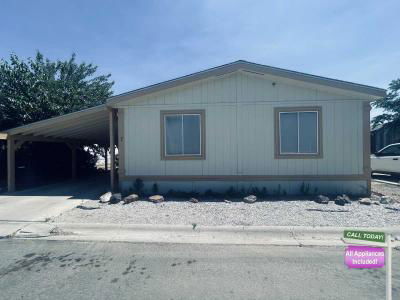 Mobile Home at 7 Firstdale Way Fernley, NV 89408