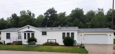 Mobile Home at 5155 North Trotter Trail Caledonia, MI 49316