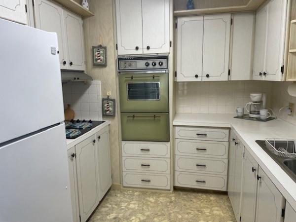 1969 Skyline Manufactured Home