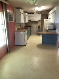 1987 Manufactured Home