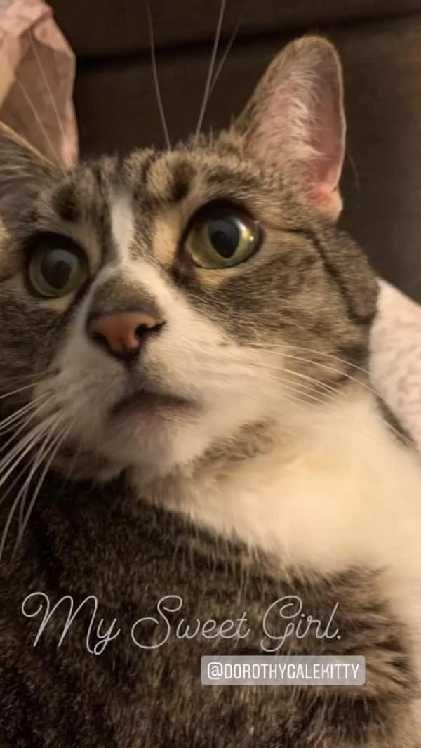 Photo 1 of 1 of home located at 33836 Nash Road Seward, AK 99664