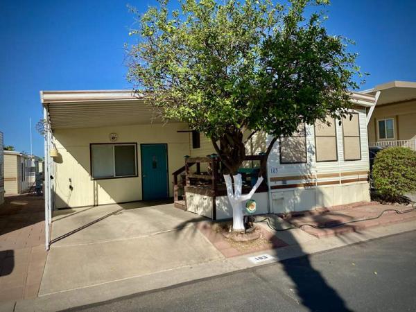 1987 Skyline Manufactured Home