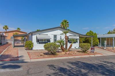 Mobile Home at 133 Vance Ct. Henderson, NV 89074