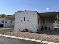 1969 Skyline Mobile Home