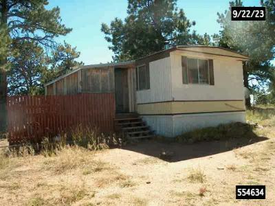 Mobile Home at 957 Arapahoe Dr Florissant, CO 80816