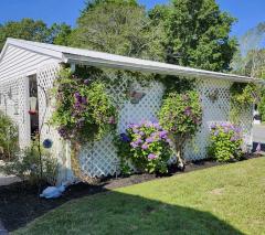 Photo 3 of 26 of home located at 39D Sycamore Drive Halifax, MA 02338