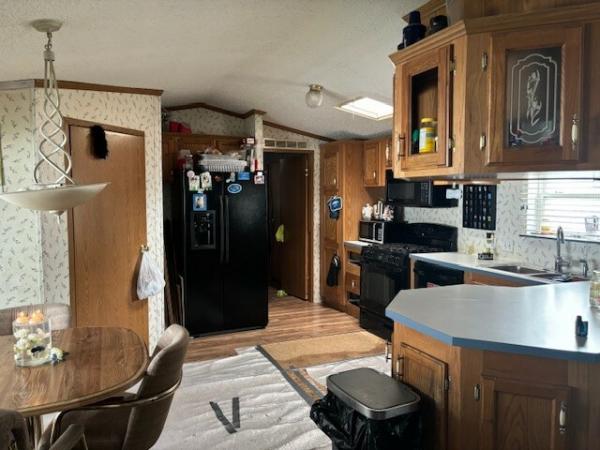 1996 Skyline Manufactured Home