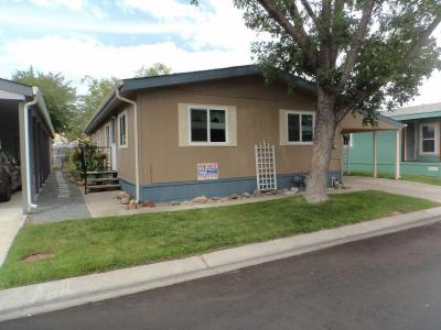 Mobile Home at 2218 Loire Street Carson City, NV 89701