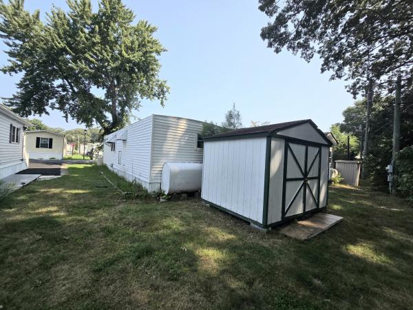 1971 Skyline Mobile Home