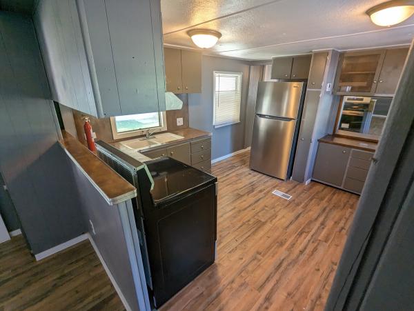 1966 Holly Park mobile Home