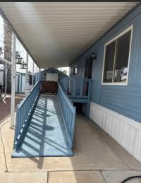 1972 Skyline Mobile Home