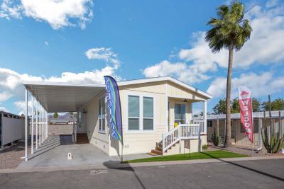 Mobile Home at 11100 E. Apache Trail #008 Apache Junction, AZ 85120