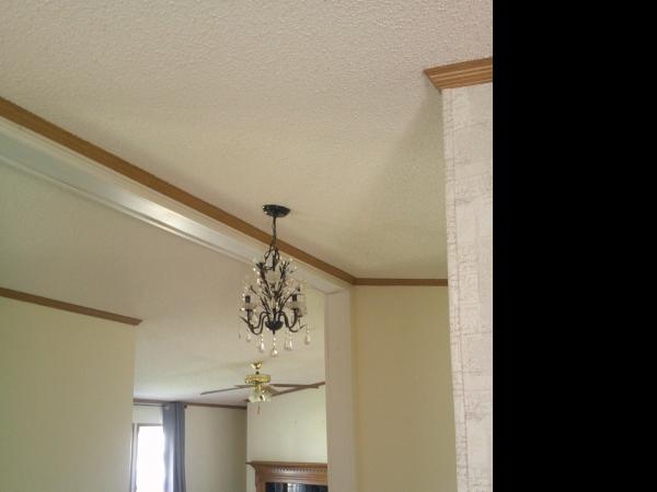1999 Crystal Valley c05 FGS1444 201R  Home