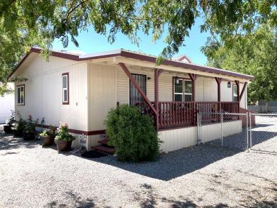 Mobile Home at 500 W Goldfield Ave. #42 Yerington, NV 89447