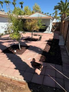 Photo 4 of 28 of home located at 6420 E Tropicana Ave #216 Las Vegas, NV 89122