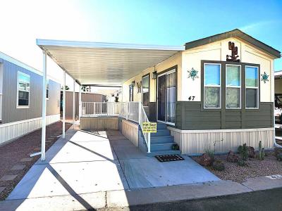 Mobile Home at 1700 W Shiprock, Lot 47 Apache Junction, AZ 85120