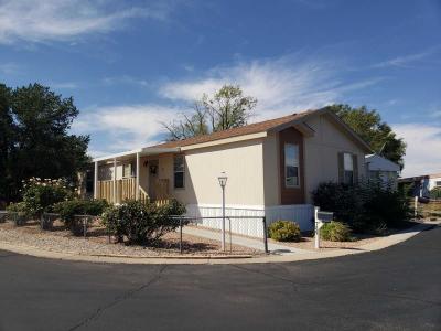 Mobile Home at 729 Trading Post Trail SE Albuquerque, NM 87123